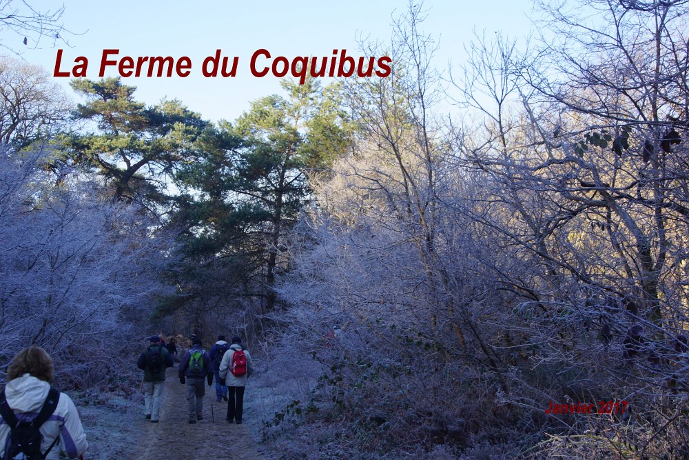 La Ferme du Coquibus